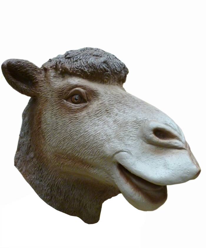 Masque-de-chameau