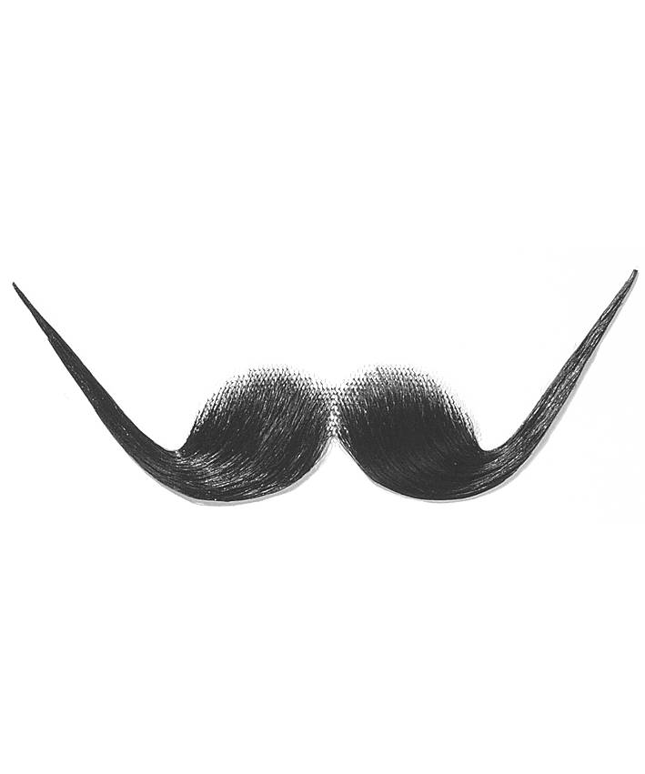 Fausse-moustache-Dali