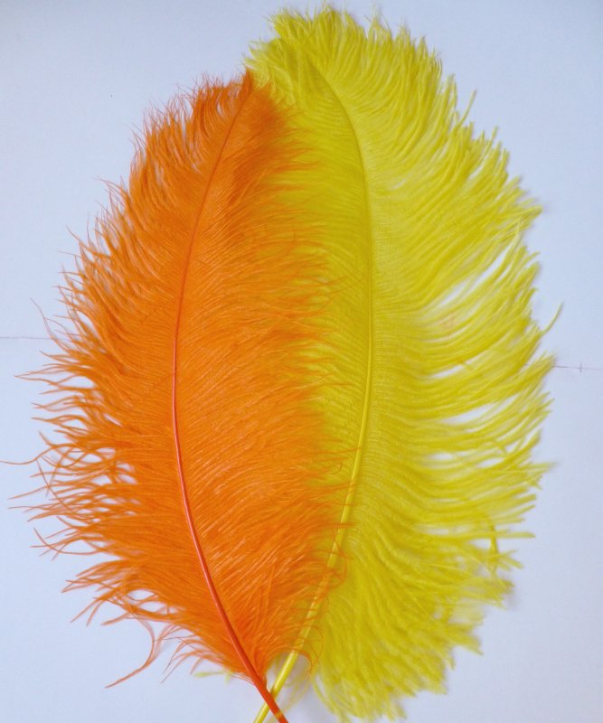 Plume-Autruche-Jaune-Orange-50-60cm